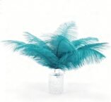 Ostrich Feathers for Crafting Natural Bulk 10pcs 12-14inch(30-35cm) Soft Fluffy Orange Feathers Perfect DIY for Vase Fillers Wedding Decor (Peacock Blue) Brand: Fenisonavy